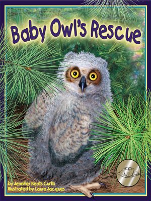 cover image of Baby Owl's Rescue